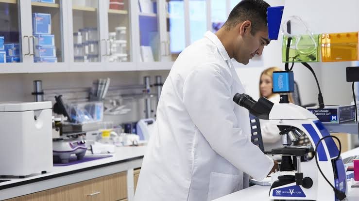 Laboratory report testing